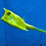 Article image of: Slippery business