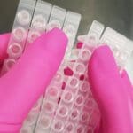 Article image of: Nieuw: Tear Off 96-well plate mats