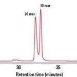 Article image of: Nieuwe TSKGEL kolom