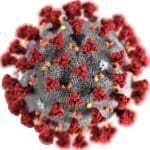 Article image of: Coronavirus is diagnosed with calibrated real-time PCR equipment
