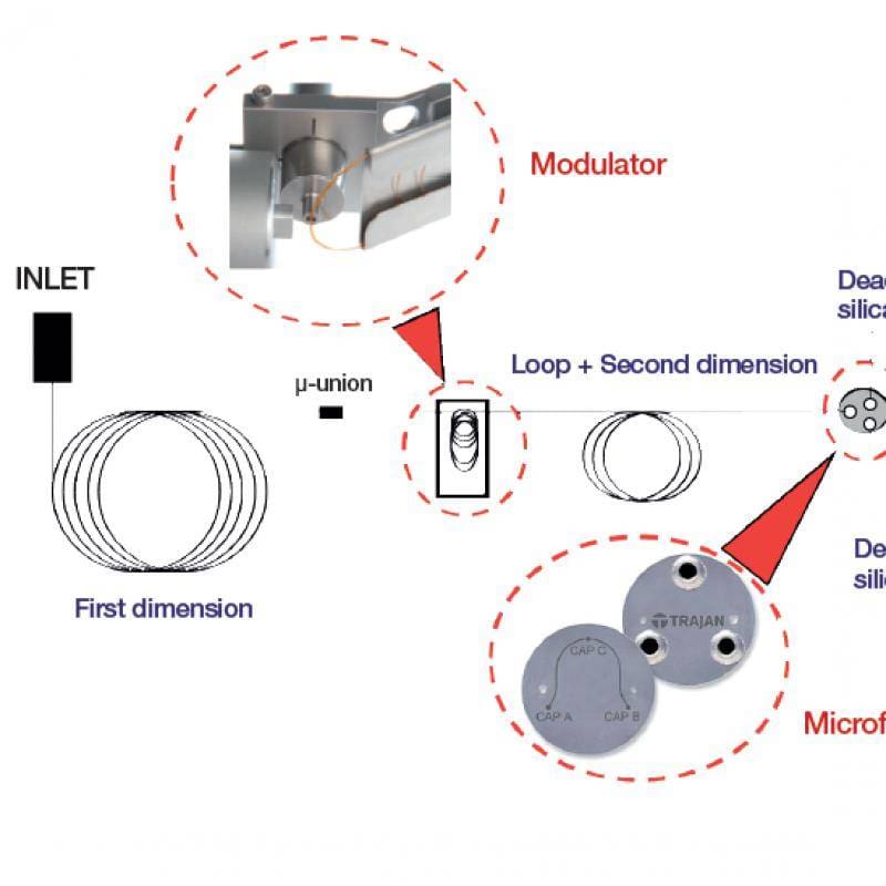 Article image of: GCxGC with parallel MS and FID detection