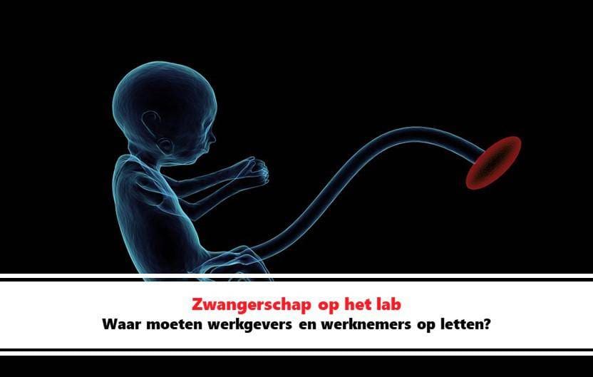 Article image of: Zwangerschap op het lab