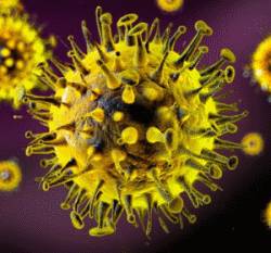 Article image of: Sartorius Supports the Development of the First Vaccine Candidate