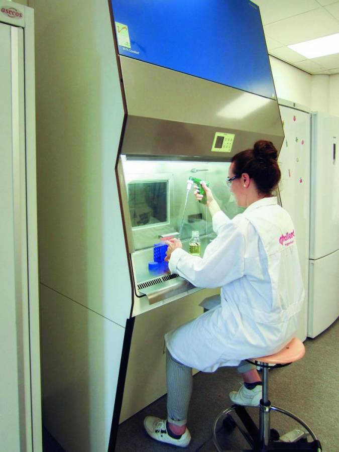 Article image of: Tweede leven voor LAF-kast