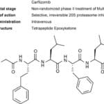 Article image of: Huateng Pharma Develpoed Kinds Of Intermediates For Carfilzomib