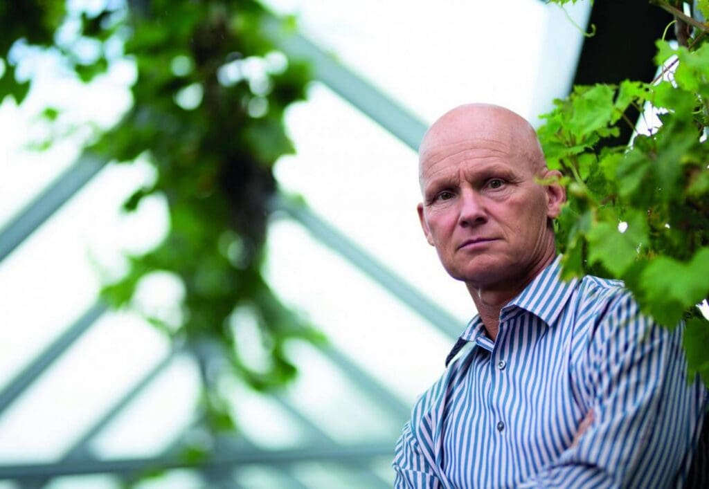 Article image of: MOSH voor je lippen