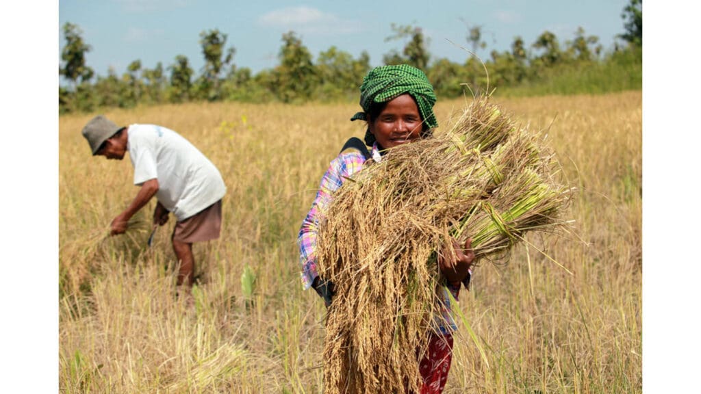 Article image of: Nutreco lanceert wereldwijde prijs