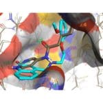 Article image of: COVID Moonshot – CDD Vault Supports Worldwide Effort to Find a Therapy