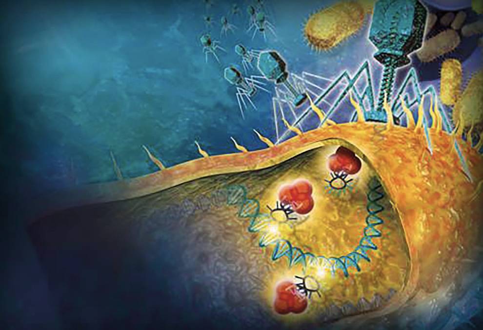 Article image of: CRISPR-systeem in actie vastgelegd