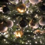 Article image of: Happy holiday season from BIOplastics