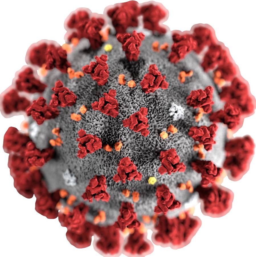 Article image of: Het coronavirus en RT-PCR-apparatuur