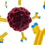 Article image of: ADCs Effectively Targets Surface Protein Of Neuroblastoma In Children