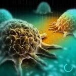 Article image of: Larotrectinib, First TRK Inhibitor Approved by the FDA for Solid Tumors