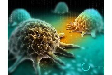 Article image of: Larotrectinib, First TRK Inhibitor Approved by the FDA for Solid Tumors