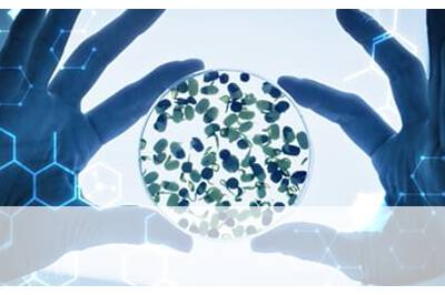 Article image of: Protein Interactions Now Available at Creative Enzymes