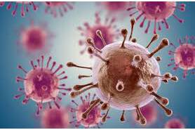Article image of: Enzymes for Oncology and Thrombus Treatment