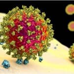 Article image of: A New Antiviral Strategy Was Discovered For Treating COVID-19