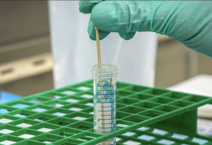 Article image of: Bioveterinaire onderzoekers WUR starten coronatesten