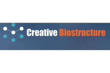 Article image of: Creative Biostructure Provides Plasmids Design Service