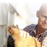 Article image of: COVID-19-testen niet aan te slepen