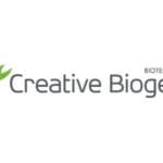 Article image of: Analysis on The Redesign of Microbial Cell Surface Display and Its App