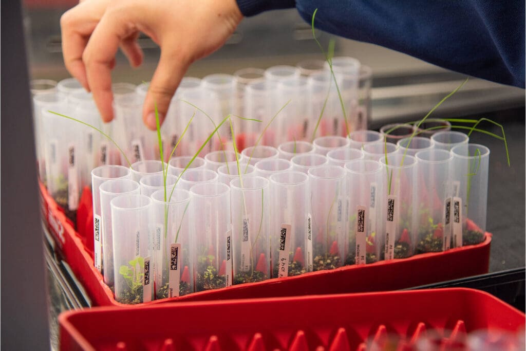 Article image of: Informatics streamlines herbicide data management