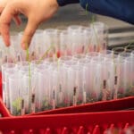 Article image of: Informatics streamlines herbicide data management