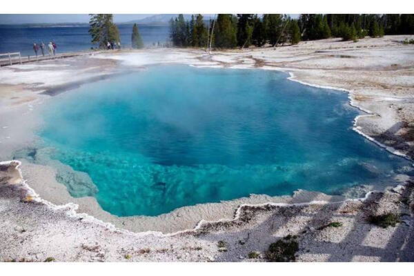 Article image of: Microecology and Environment Solutions to Accelerate Your Environment