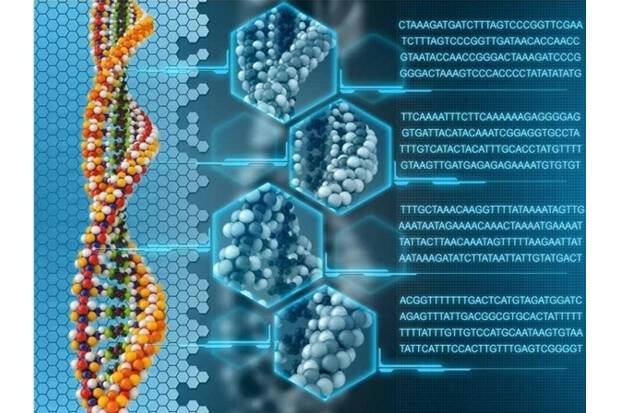 Article image of: Inherited Disease Panels for Genetic Diseases Research