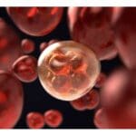 Article image of: New Therapy For Lung Cancer And Related Secondary Tumors