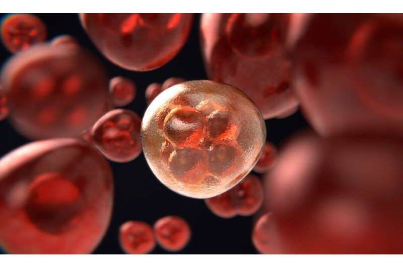 Article image of: New Therapy For Lung Cancer And Related Secondary Tumors