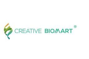 Article image of: Creative BioMart Provides a Bunch of Adaptive Immunity Proteins