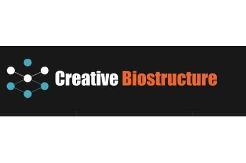 Article image of: Creative Biostructure Provides De Novo Design for Protein Engineering