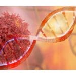 Article image of: Enzalutamide Has Additional Benefits For Prostate Cancer