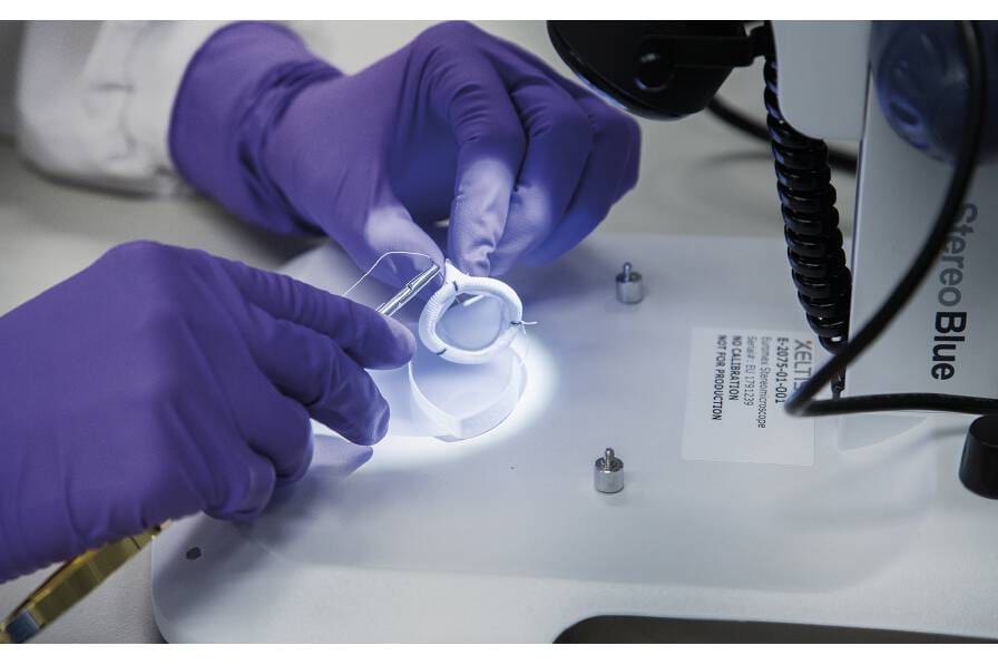 Article image of: Xeltis bij ArtMoMa