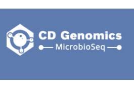 Article image of: BS-Seq & Bioinformatic Analysis Services Promote Epigenomics Research