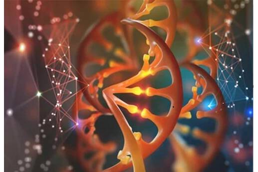 Article image of: CD Genomics Bioinfo Revised Website for Better User Experience