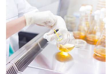 Article image of: Creative Enzymes Announces the Launch of Its Molecular Tools