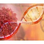 Article image of: The Application of Click Chemistry In Life Sciences