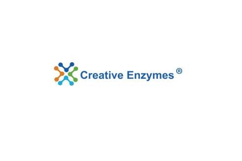 Article image of: Creative Enzymes Launched Tn5 Transposase for Genetic Experimentation