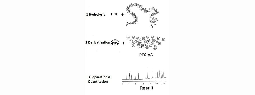 Article image of: Introduction to Organic Acids