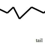 Article image of: Anionic Surfactants