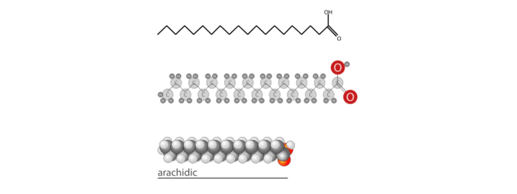 Article image of: Fatty Acetates