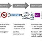 Article image of: Upgraded Exosome Proteomics Service to Accelerate Biomarker Discovery Research