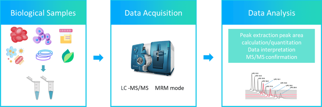 Article image of: Efficacy and Detection of Ceramide