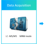 Article image of: Efficacy and Detection of Ceramide
