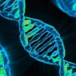 Article image of: Eukaryotic 18S rRNA Sequencing