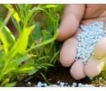 Article image of: Fertilizer Testing for Agricultural Products & Crops Industry