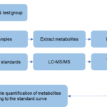 Article image of: Introduction and Detection Methods for Phytochemicals