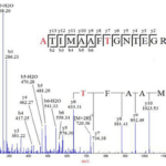Article image of: Improved De Novo Peptides/Protein Sequencing Service
